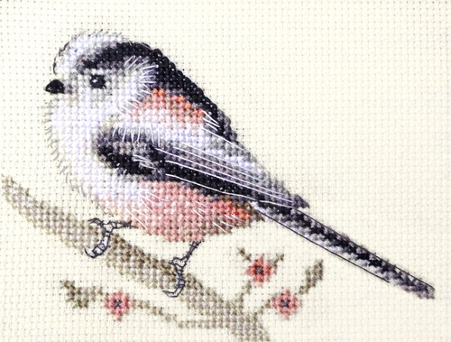 Long tailed tit garden - garden, ~