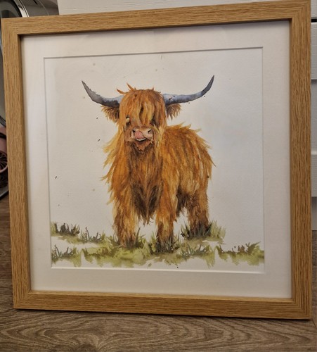 Framed highland cow picture - cow,