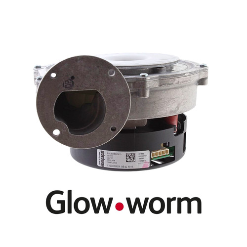 Glow worm 0020037309 - glow-worm, fan