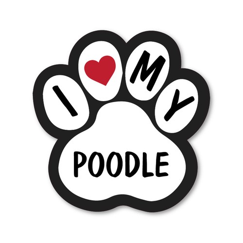 Love white poodle car van - i,
