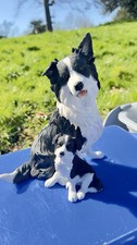 Border Collie Puppy- Country