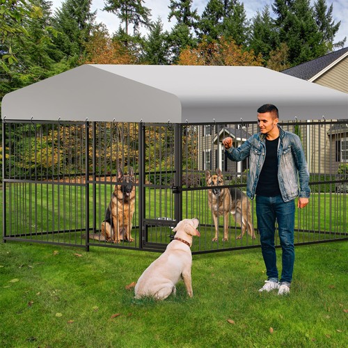Large outdoor dog - ✔️💯✅large,
