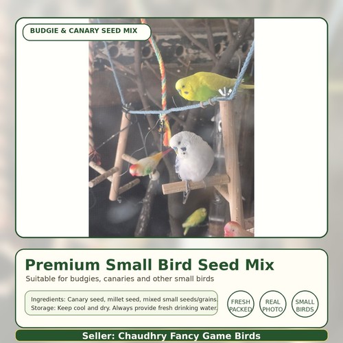 Premium budgie canary - canary, seed