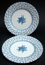 TWO Royal Victoria Rose