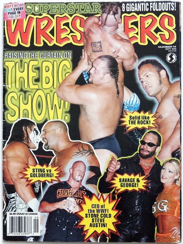 Superstar wrestlers poster - wrestlers,