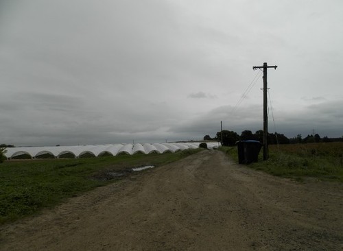 Photo 6x4 farm track - photo,