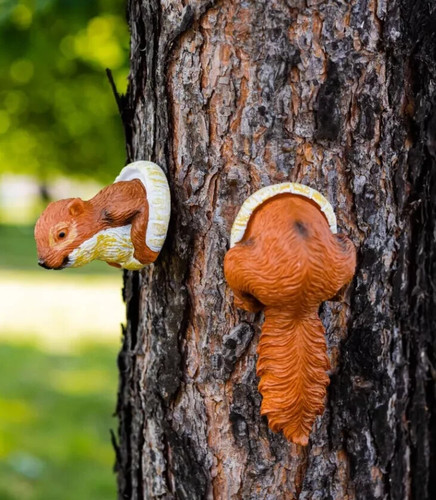 Garden squirrel tree peeker - squirrel,