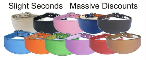 Whippet collar leather dog - whippet,