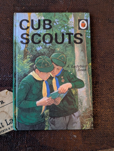Cub scouts david - harwood,