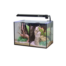 Black Aqua One Betta Due Glass