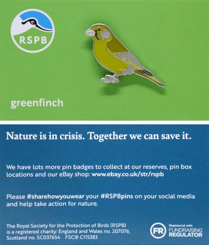 Rspb pin badge - rspb, niic