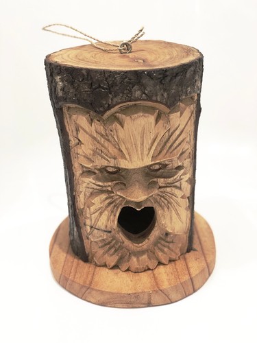 Green man bird - bird, box