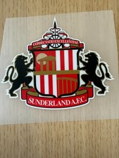 EPL Premier League Sunderland 1999-current  DTF Flat Iron On Patch Badge