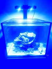 REDSEA Reefer XL 200 complete marine tank setup BARGAIN £1200
