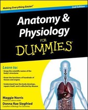 Anatomy and Physiology For