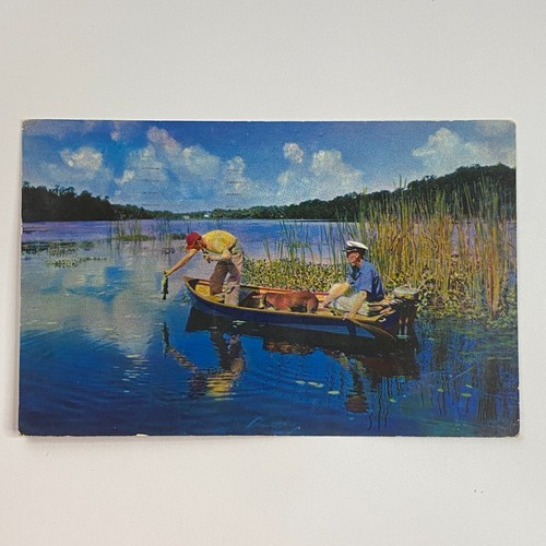 Fishing favorite sport boat - favorite,