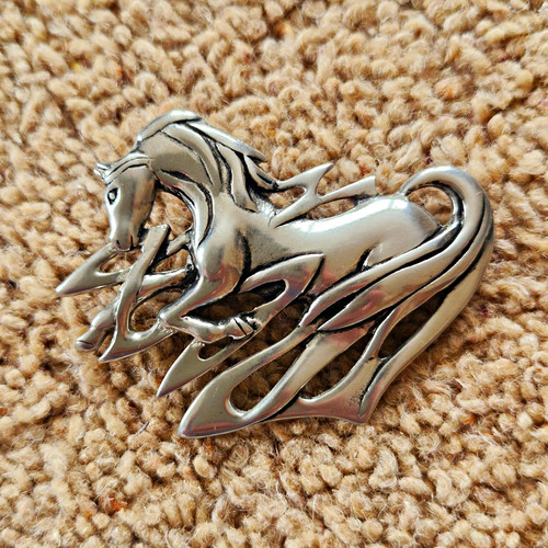Justin signed celtic horse - justin,