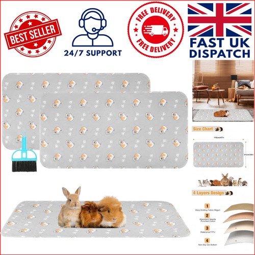 Soft and washable guinea - washable, pig