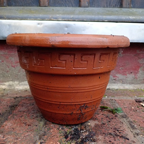 Terracotta plant pot - plant, small