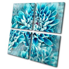 Floral Zinnia blue flower  MULTI CANVAS WALL ART Picture Print VA