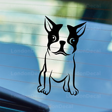 Boston Terrier Dog Decal - Car