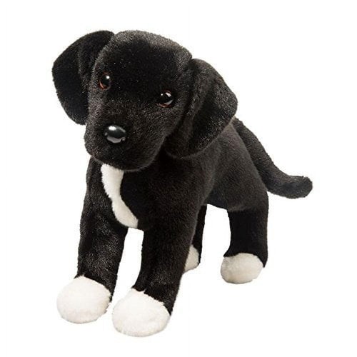 Douglas twister black - black, lab/pit