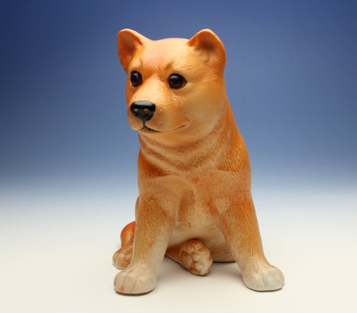 Shiba inu puppy sitting - puppy, dog