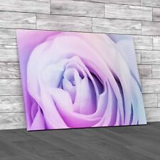 Closeup Stunning Multicolored Visuals Canvas Print Large Picture Wall Art