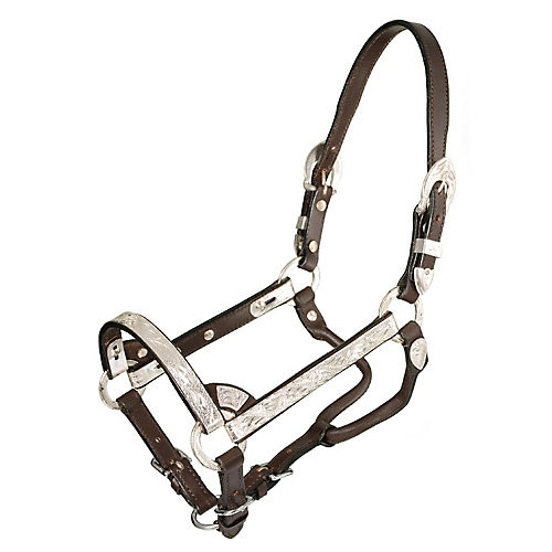 Royal king silver - king,