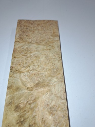 Burr oak veneer 1 - burr,