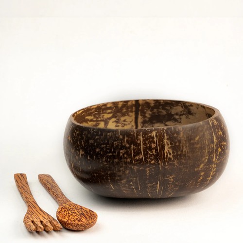 Jumbo coconut shell bowl - coconut,