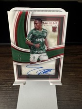 2023-24 Panini Immaculate Endrick Shadow Box Rookie /30 Real Madrid Palmieres RC