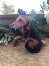 Very rare vintage breed - rare, apart
