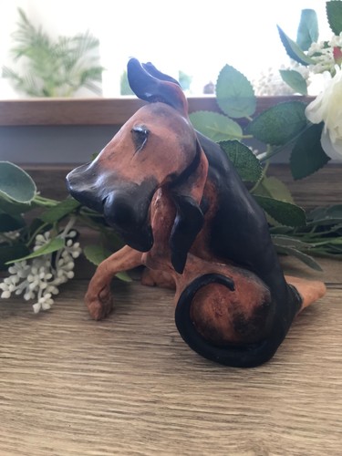 Very rare vintage breed - rare, apart