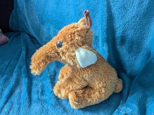 Woolly mammoth type ginger - woolly,