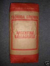 Argentine Bahia Pasture Grass