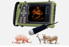 Portable Veterinary Ultrasound