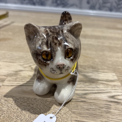 Winstanley tabby cat size - size, 1