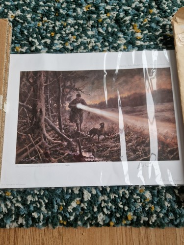 Mick cawston limited - limited, edition