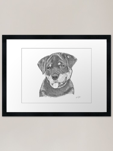 Rottweiler puppy chloe framed - rottweiler,