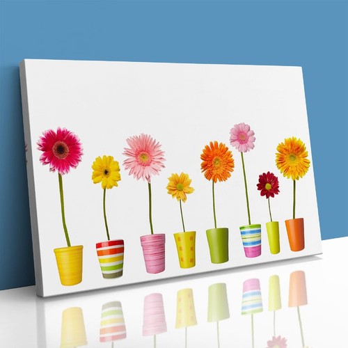 Flower pots and daisy - pots, colours