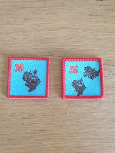 Obsolete beaver scouts - obsolete,