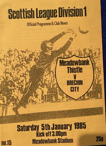 Meadowbank thistle brechin - thistle, v