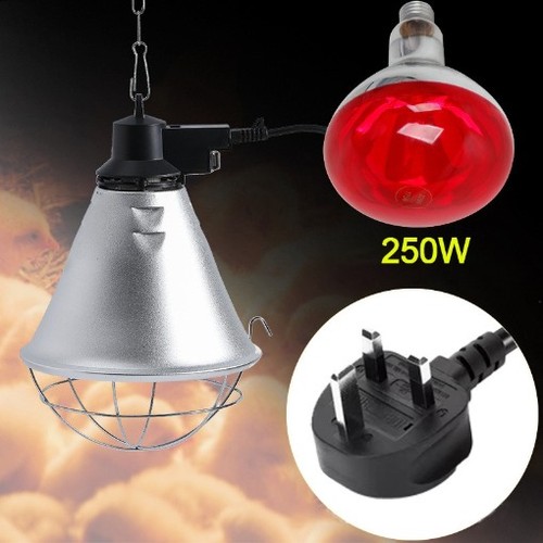 Infrared heat lamp - lamp, with