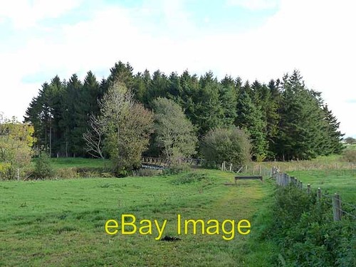 Photo 6x4 farm bridge over - bridge,