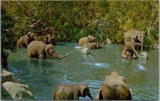 Vintage DISNEYLAND Anaheim