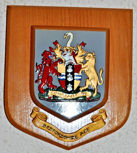 Bedfordshire army cadet force - bedfordshire,