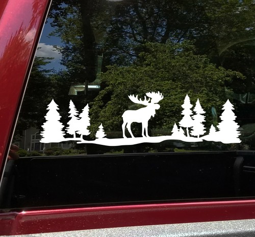 Moose forest scene rv - scene,
