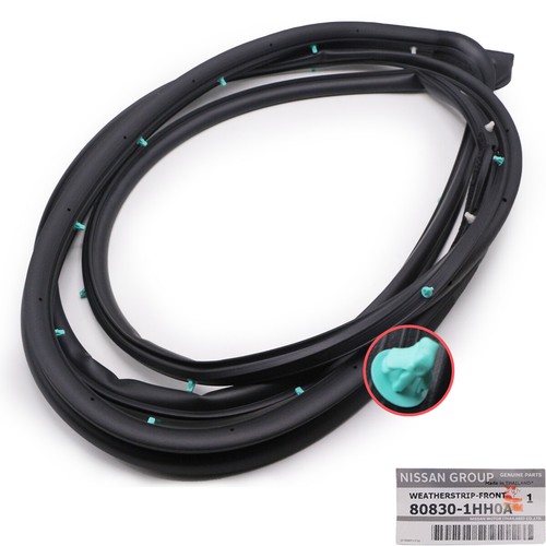 Front door weatherstrip - front,