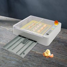 36-slot Digital Poultry